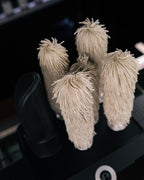 Bar Glass Dryer & Polisher