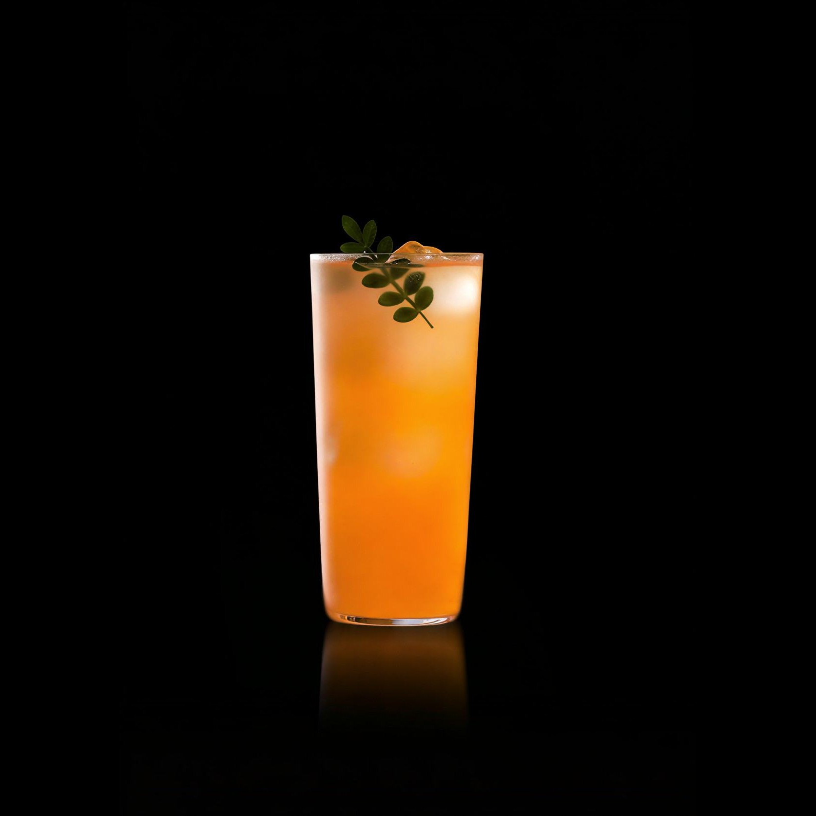 PH004